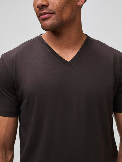 Seasonal Colors V-Neck